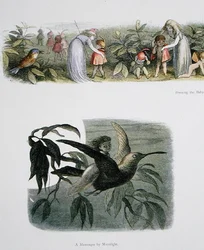Vestire i piccoli elfi e un messaggero al chiaro di luna, illustrazioni da In Fairyland: A Series of Pictures from the Elf-World di William Allingham e Andrew Lang
